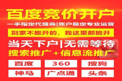 百度竞价托管公司成功案例：打造行业领先品牌
